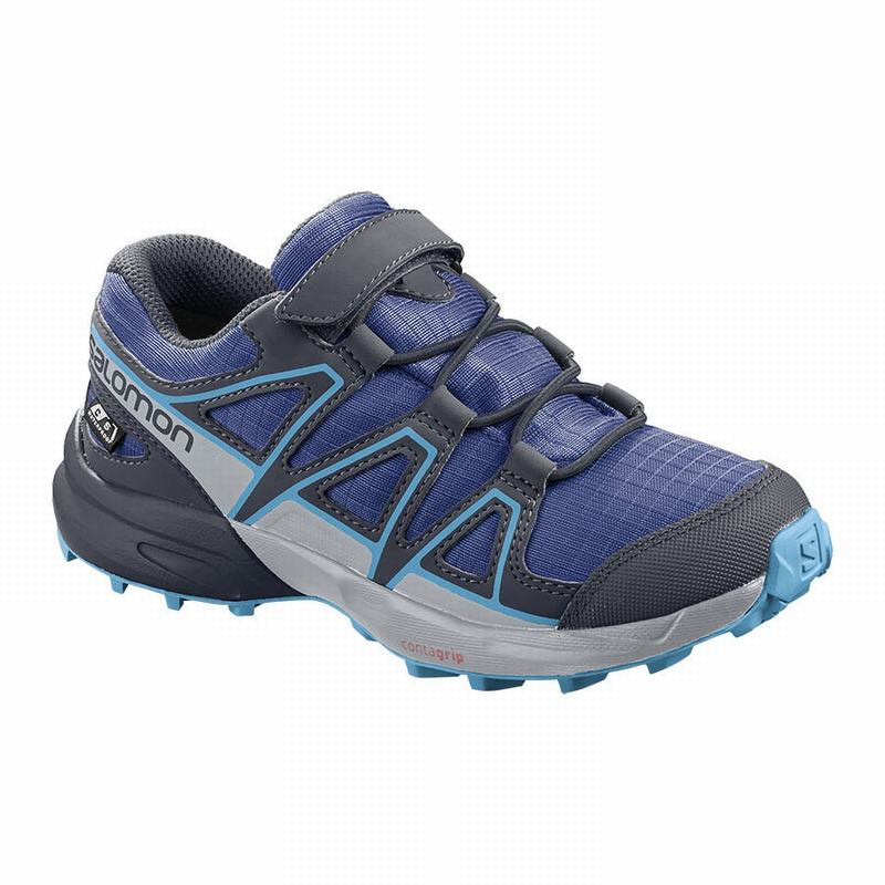 Salomon SPEEDCROSS CLIMASALOMON™ WATERPROOF Zapatillas Trail Running Niños - Azul Marino / Azules -